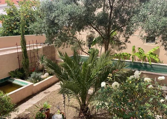 Junqueira Gardens - Casa Antiga Jardim E Piscina