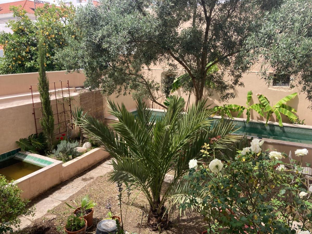 Junqueira Gardens - Casa Antiga Jardim E Piscina Villa Lisboa